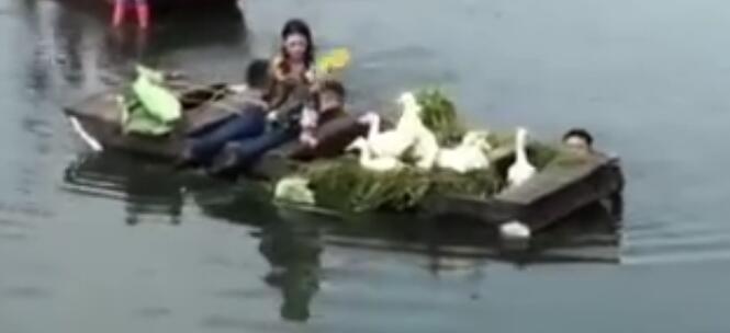 城会玩!马思纯给鸭子扇风 热skr人怎么不给买个空调捏