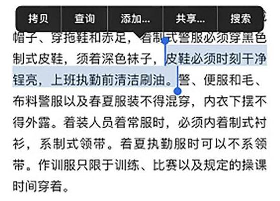 延安拟出台警察规范:皮鞋必须锃亮 说话不超40分贝
