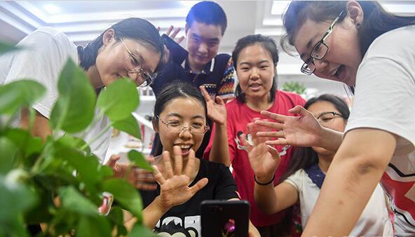 黏豆包唤醒创业梦 37名东北女大学生返乡创业的故事