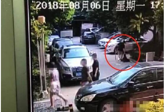 成都：业主为狗挂花圈讨公道 水映兰庭小区流浪狗之死