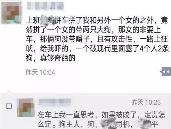 被咬了谁负责?拼车拼到两条大狗 女子瑟瑟发抖:再拼下去命都没了 
