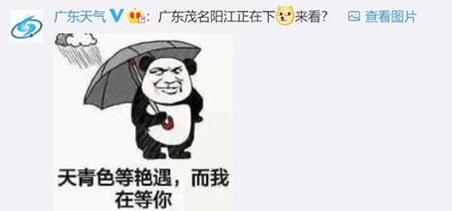 豌豆射手在哪？短时强僵尸出没 天气预报闹乌龙笑坏网友