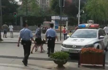 吓人！1米长无证德牧咬伤少年 涉事犬只被强制收容