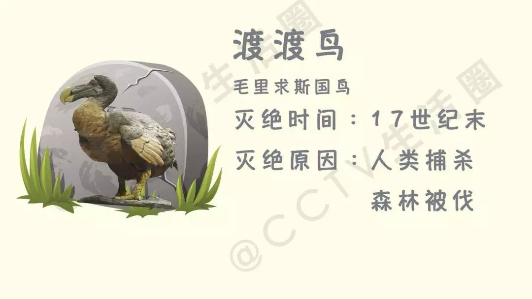 今日七夕 最残忍的礼物具体是什么 怎样避免伤害“小生命”