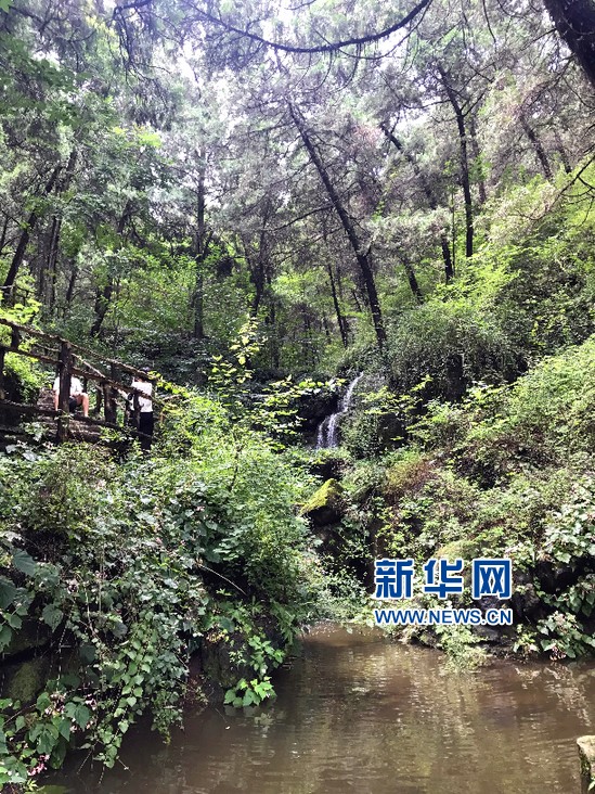 鸟瞰七夕:在“牛郎织女传说之乡”与爱乘风