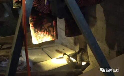 广西贵港市:眼镜蛇钻老人被窝 一股凉意向全身袭来