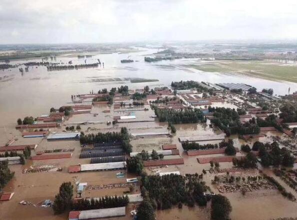 闪电评论｜抢险救灾要拼速度、拼效率，更要拼细节