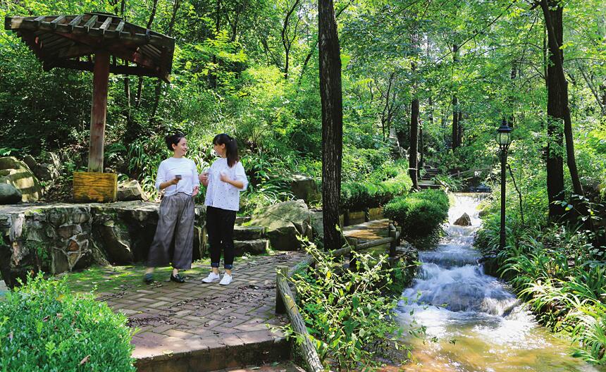 红叶谷里泉水叮咚别有意境