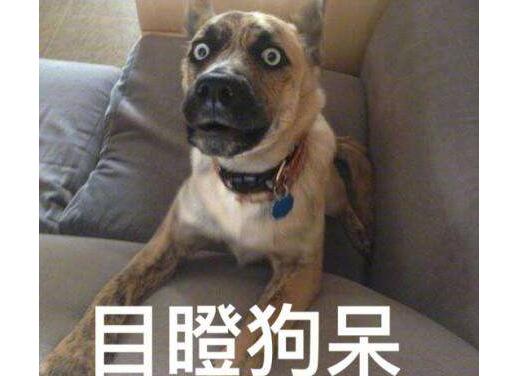 嗨爆了?女子高原嗨歌倒地究竟怎么回事 真相原因笑SKR!