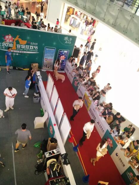 2018����񻶽ڻ���лĻ