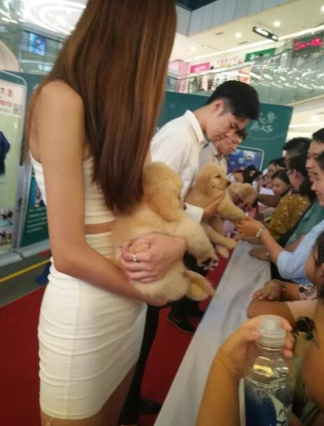 2018����񻶽ڻ���лĻ