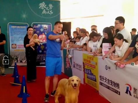 2018����񻶽ڻ���лĻ