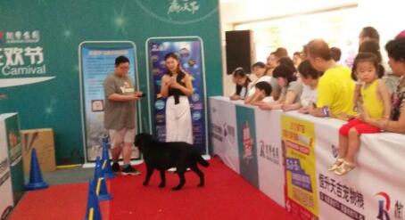 2018����񻶽ڻ���лĻ