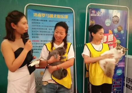 2018����񻶽ڻ���лĻ