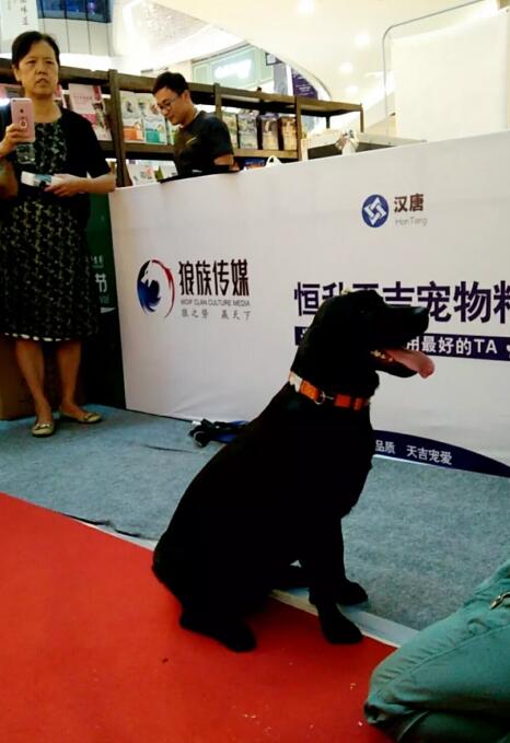 2018����񻶽ڻ���лĻ