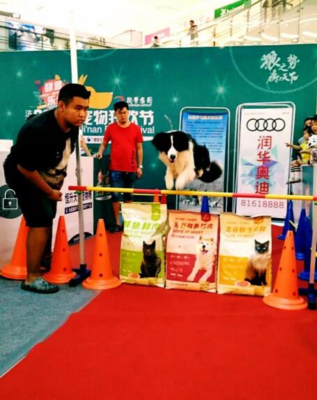 2018����񻶽ڻ���лĻ