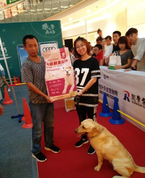 2018����񻶽ڻ���лĻ