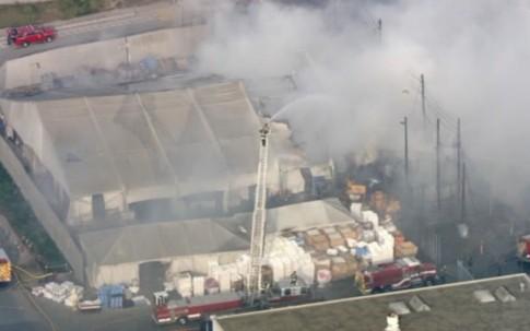 人为?特斯拉工厂着火 马斯克指责员工