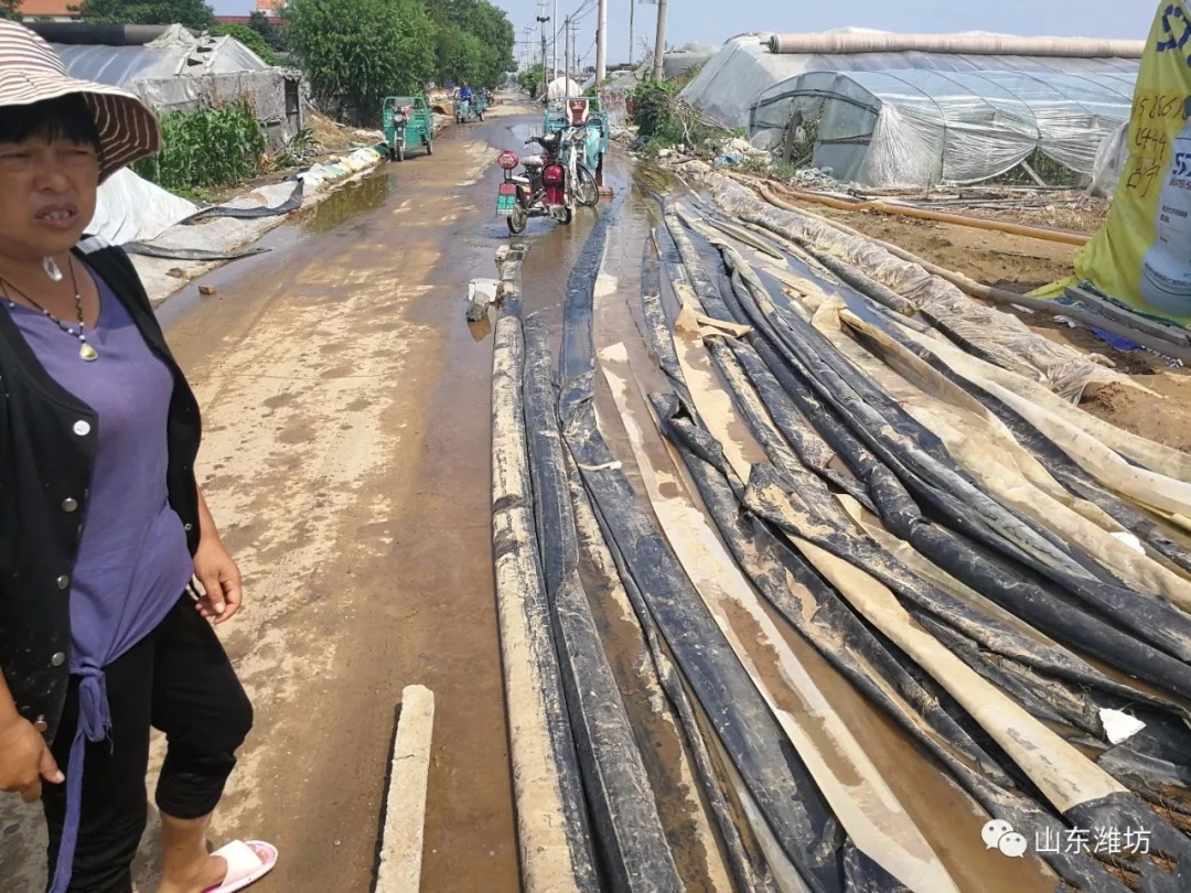 应对“温比亚”,山东全力以赴!救灾工作正在紧急进行