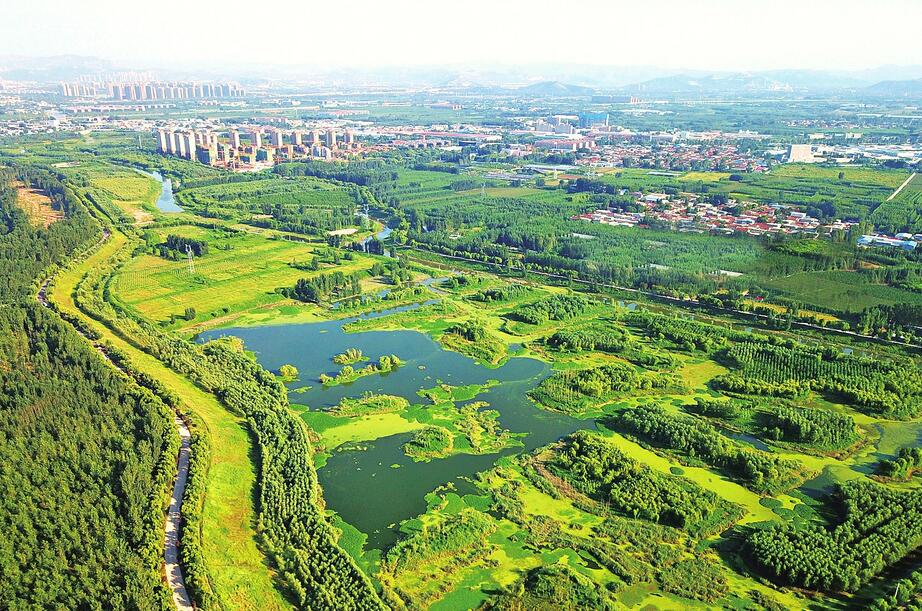 推开家门进公园 济南持续提升城市生态绿化品质