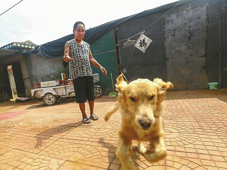 口子村与弥河：水患纠缠