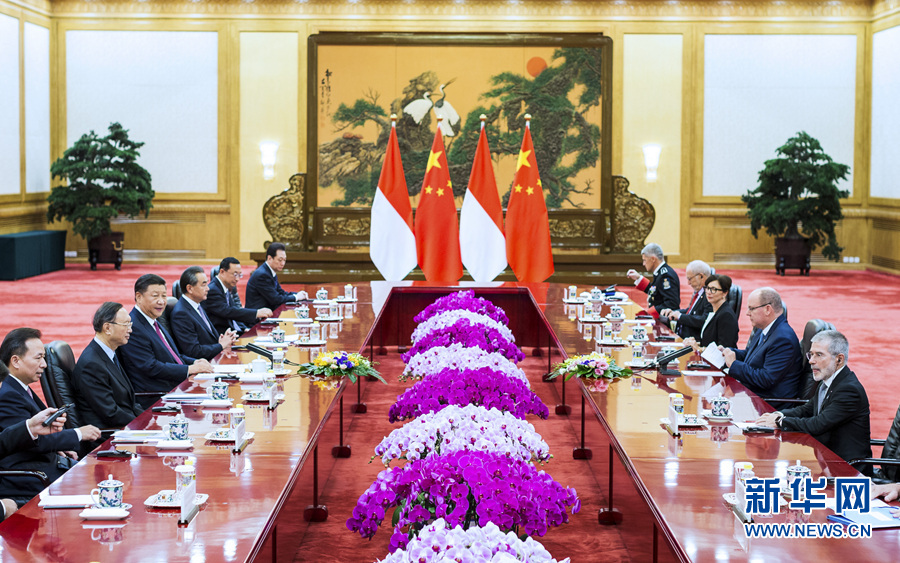 习近平同摩纳哥元首阿尔贝二世亲王举行会谈