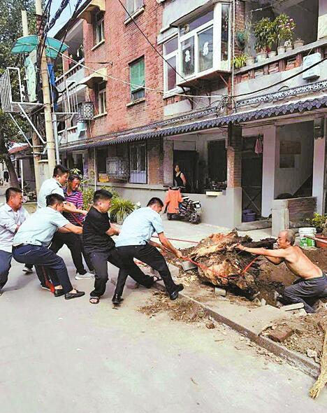 层层结网“网”民情 件件落实暖民心——走近泉城路街道“网格员”