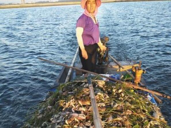 真相来了!安徽鱼蟹死亡分析究竟怎么回事?背后原因及详情竟是这