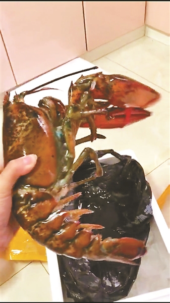 大连买海鲜遭掉包 吉林游客千里维权