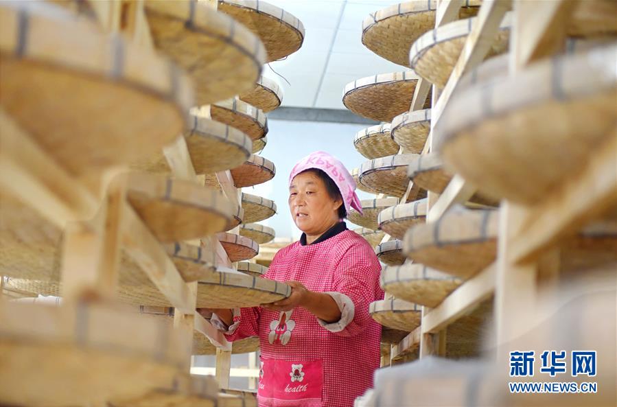 山东沂源：“车间化”养蚕助增收