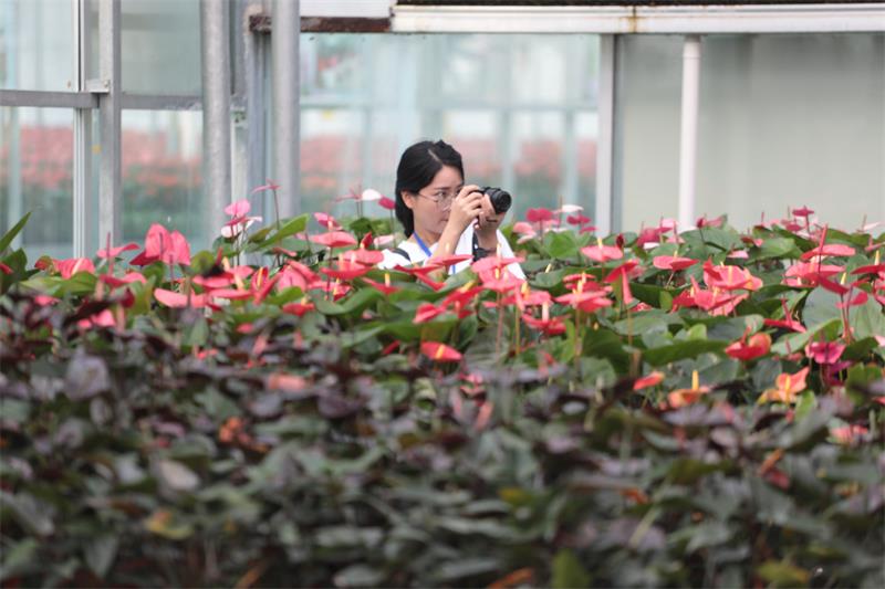 全国网媒“北跨”商河、济阳 看济南携河发展新变化