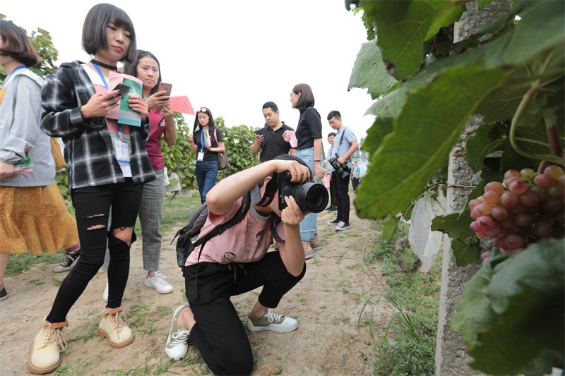 全国网媒“北跨”商河、济阳 看济南携河发展新变化