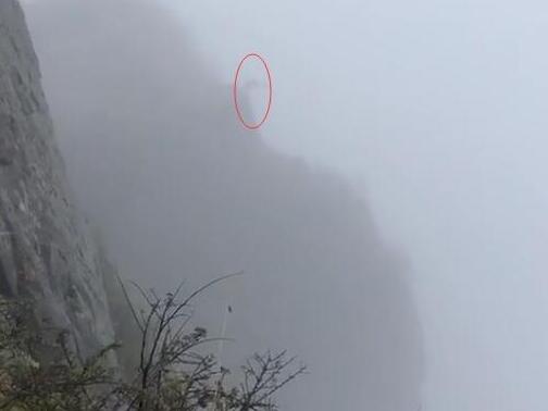 真相是什么?男子峨眉山跳崖 附近游客发现后发出阵阵惊呼声