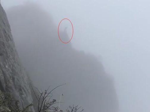 真相是什么?男子峨眉山跳崖 附近游客发现后发出阵阵惊呼声