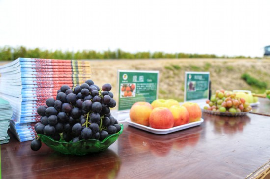 【高质量发展看山东】媒体团走进白鹭湾田园综合体内参观采访