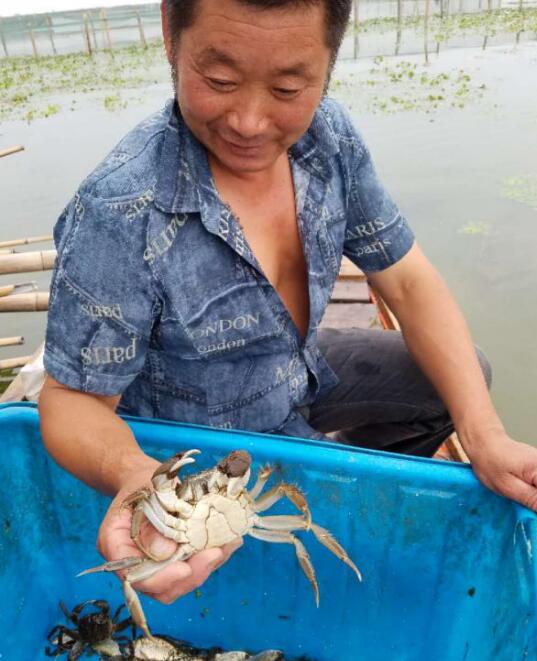 ��ǰ�ġ��桱�����棬��˵�ġ����������ĸ�����