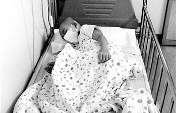 感动!熊猫血12名志愿者集结 援手稀有血型患病女童渡难关