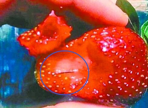 恶魔在人间?澳大利亚草莓藏针 已发生13起恶性事件!涉及7个品牌!