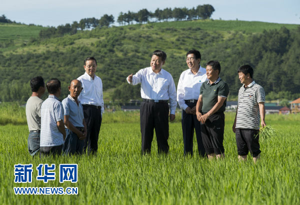 写在首个“中国农民丰收节”:喜看稻菽千重浪 亿万农民庆丰收