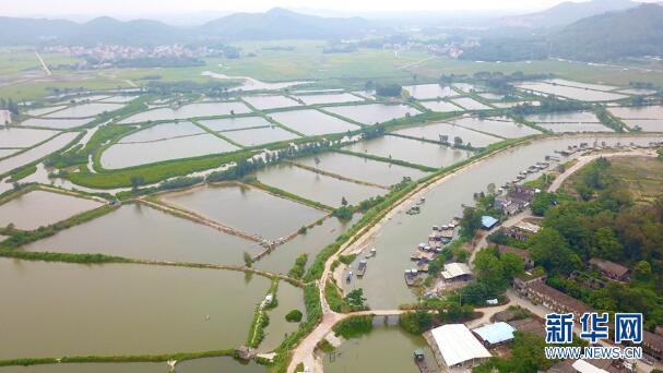 【新时代·幸福美丽新边疆】阳江“幸福密码”：因海而兴