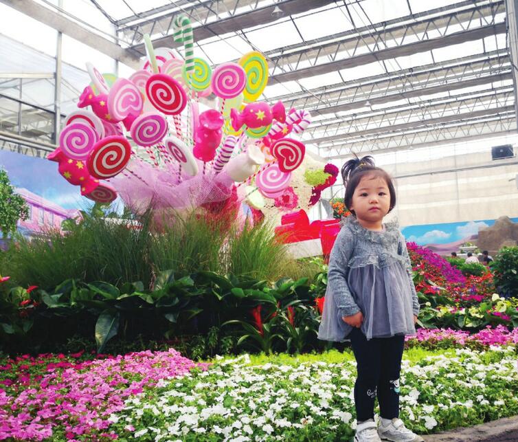 第四届济南花博会开幕 来商河过个“花式”长假