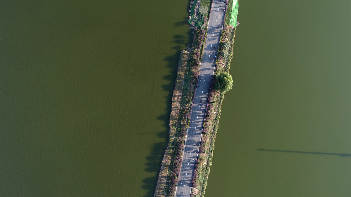 停车门票都免费 华山景区成新宠