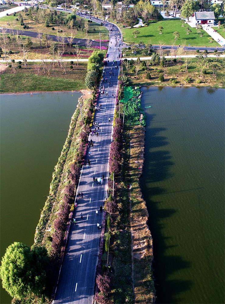 停车门票都免费 华山景区成新宠