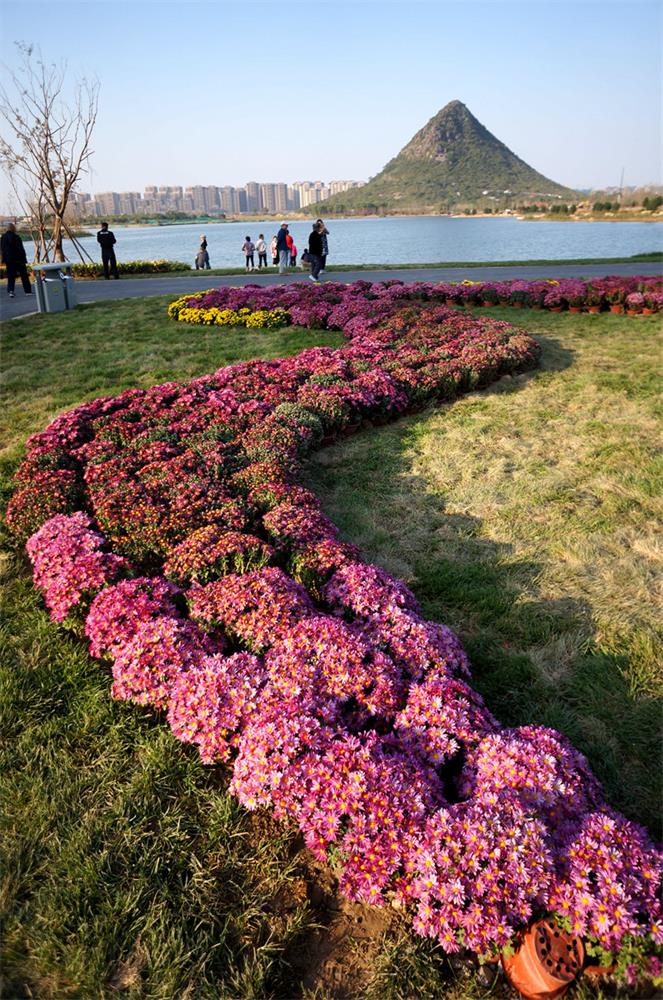 停车门票都免费 华山景区成新宠