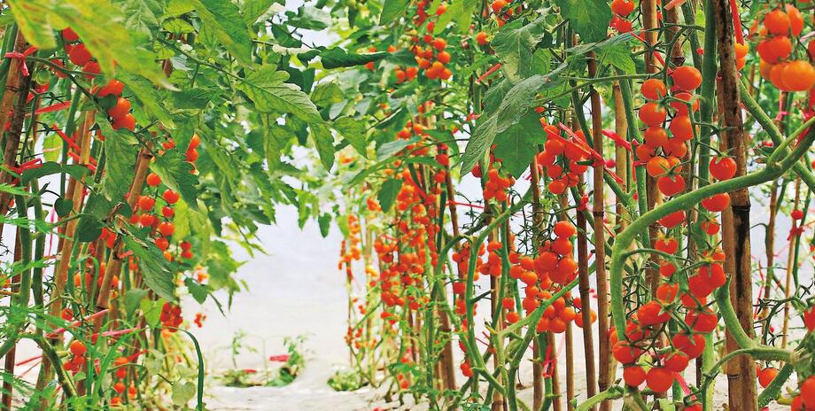 看生态文明建设的济阳实践