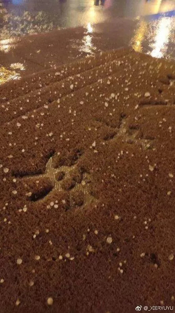 冰雹+雷电+大风!今天山东的天气一言难尽 最低温5℃