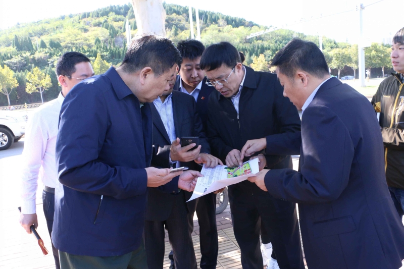 纪亮同志到智远街道察看有关建设项目情况