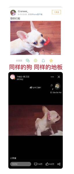 没有失恋!朱正廷女朋友曝光是假的 晒同款的微博已经清空