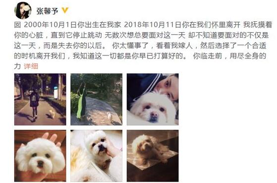 张馨予发文悼念心爱狗狗 18年的陪伴怎奈聚散终有时