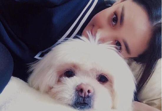 张馨予发文悼念心爱狗狗 18年的陪伴怎奈聚散终有时